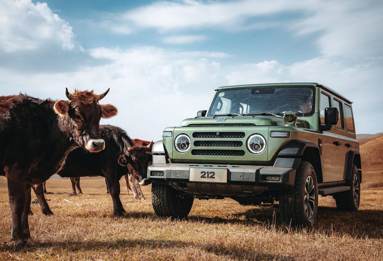 Baw 212 T01 (SUV 5D (рамный)) — купить в Москве