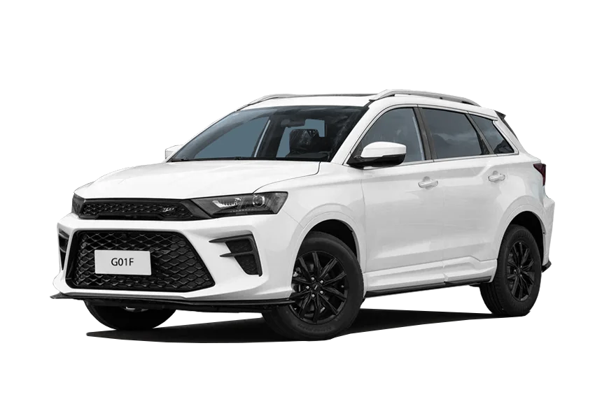Swm G01F (SUV 5D) — купить в Москве